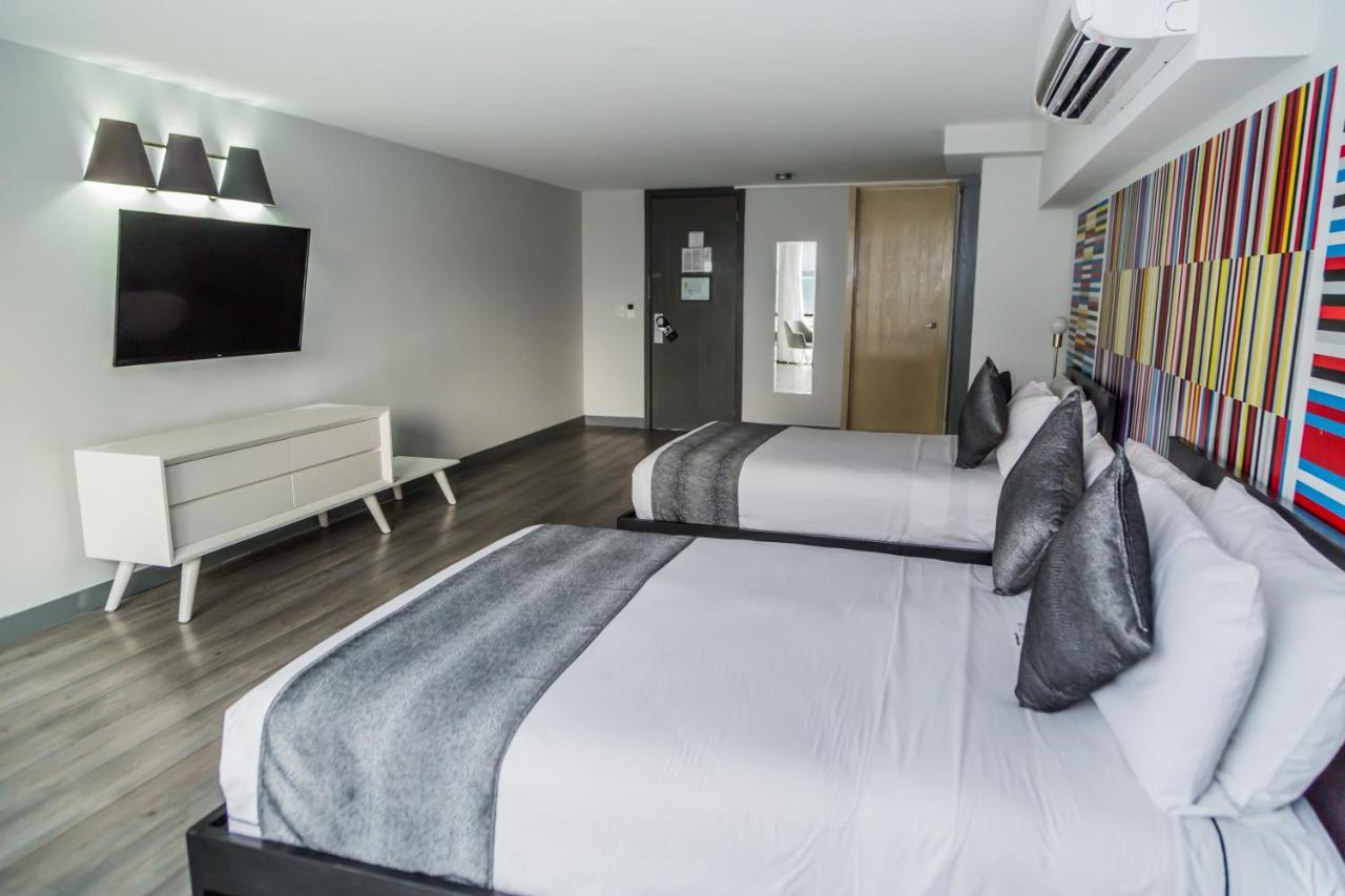 Hotel El Ejecutivo By Reforma Avenue Мехіко Екстер'єр фото